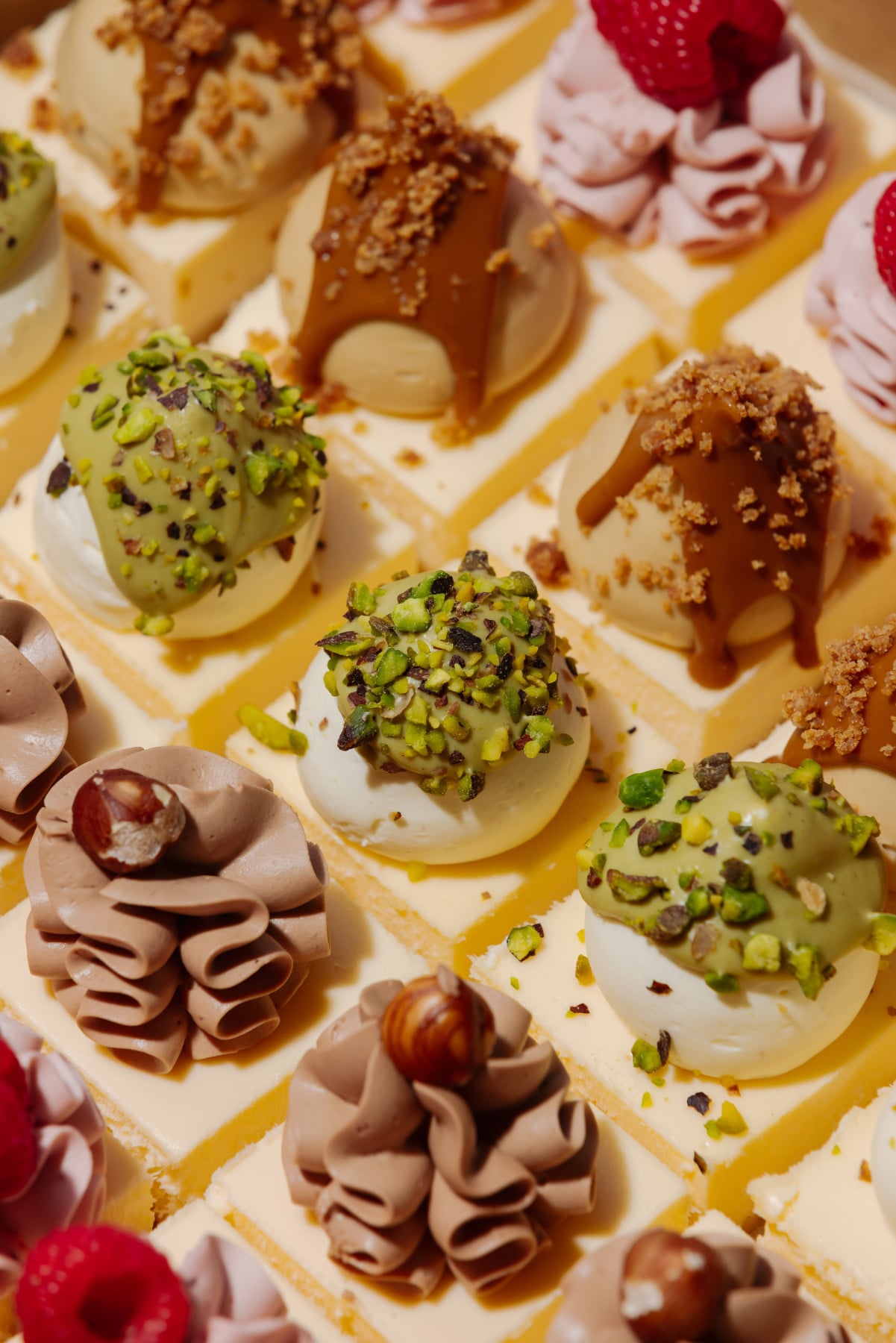 A close-up overhead view of a selection box of assorted mini patisserie cakes, including pistachio, caramel, chocolate-hazelnut, and raspberry desserts.