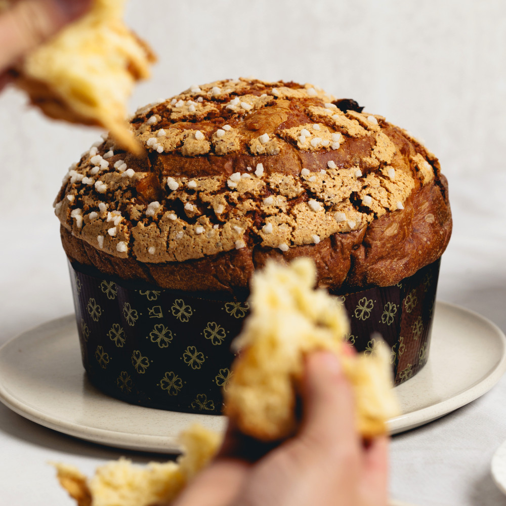 Christmas at LaManna Panettone